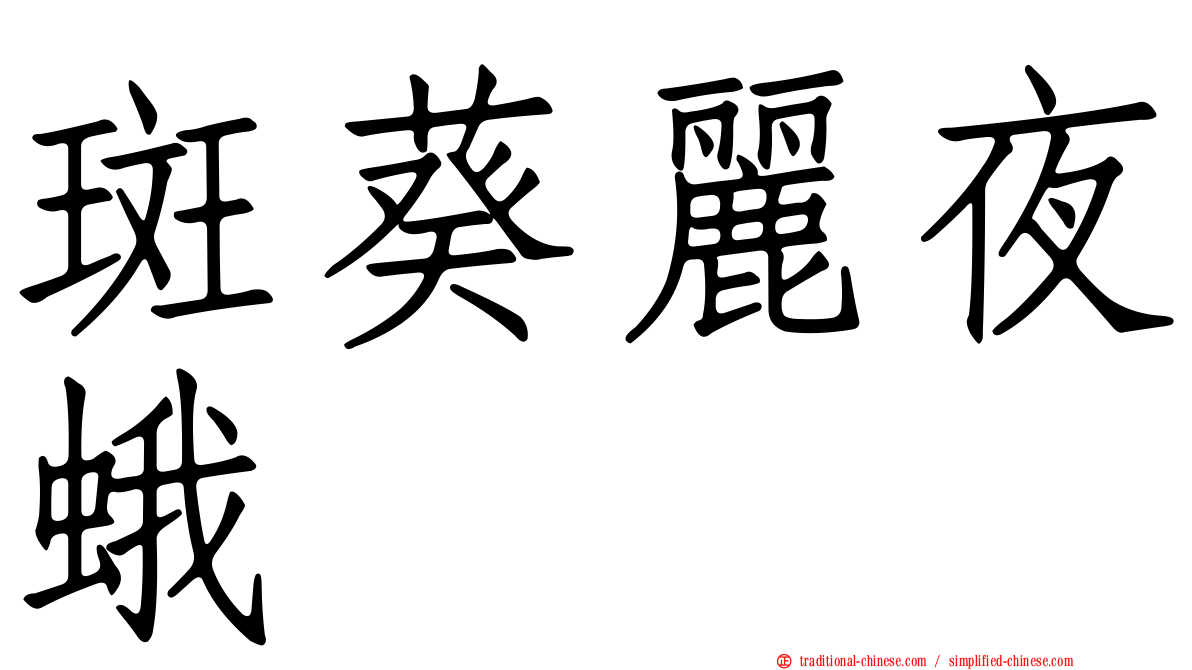 斑葵麗夜蛾