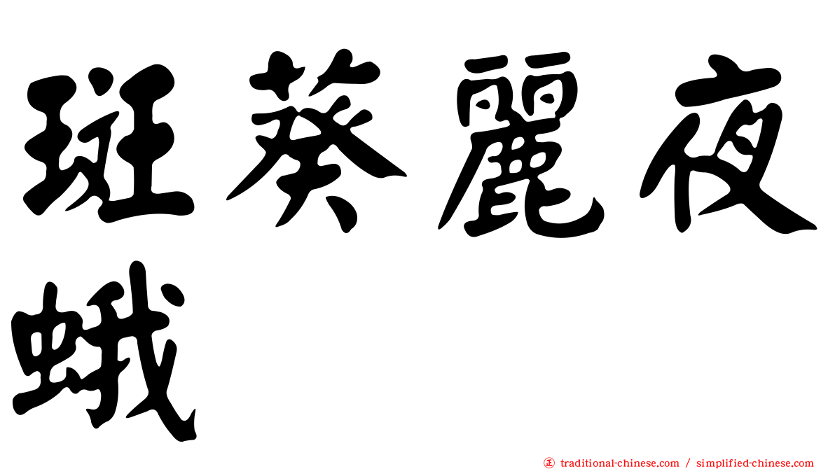 斑葵麗夜蛾