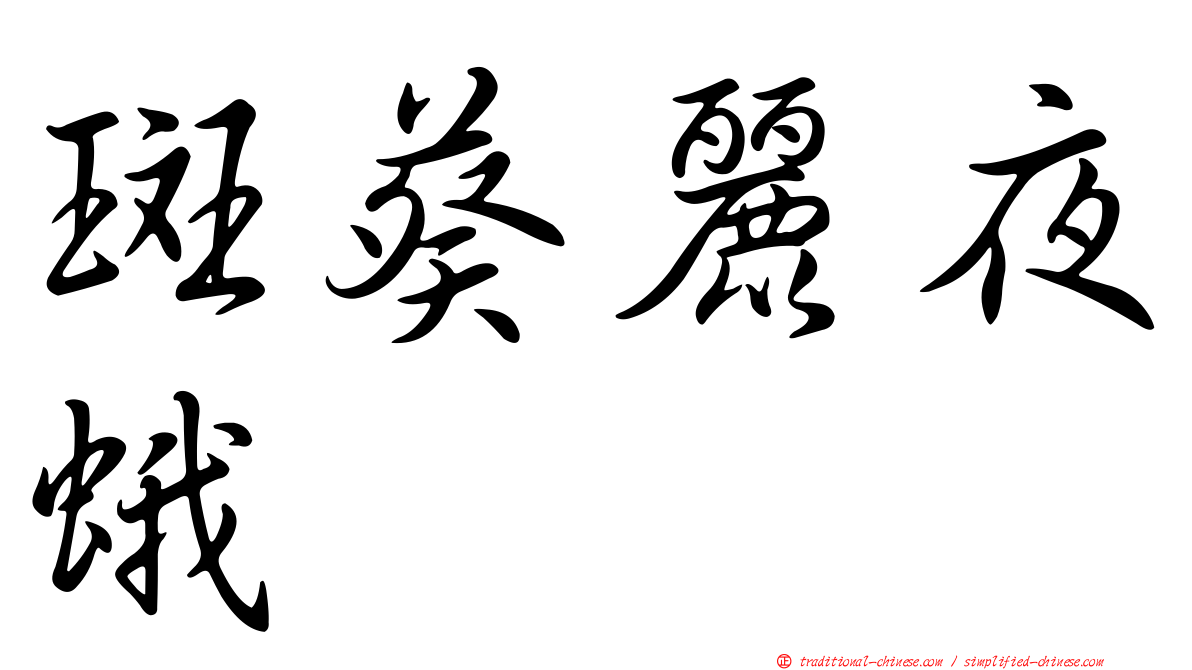 斑葵麗夜蛾
