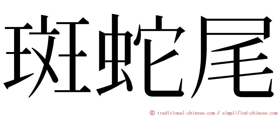 斑蛇尾 ming font