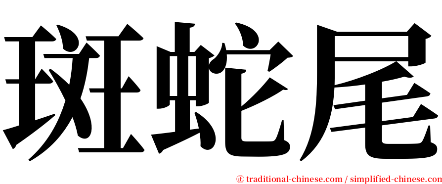 斑蛇尾 serif font
