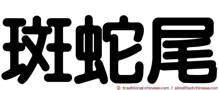 斑蛇尾