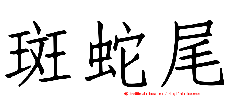 斑蛇尾