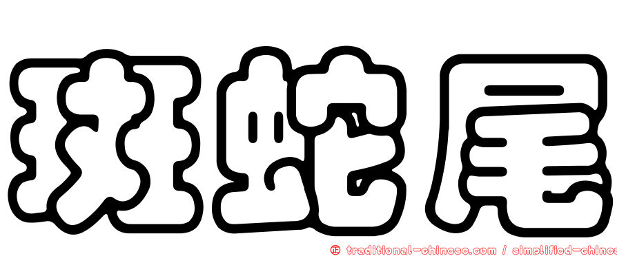 斑蛇尾
