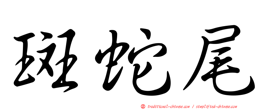 斑蛇尾