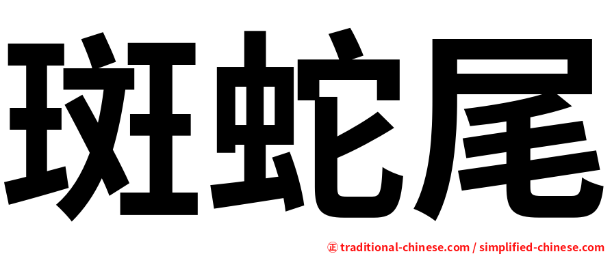 斑蛇尾