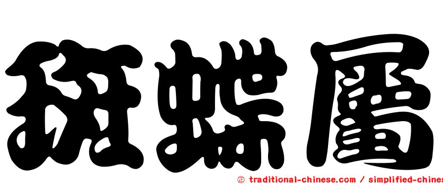 斑蝶屬