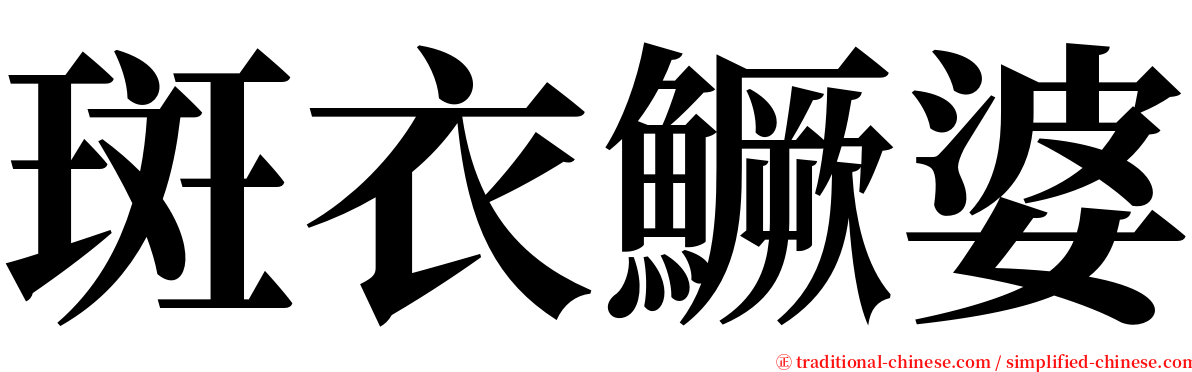 斑衣鱖婆 serif font