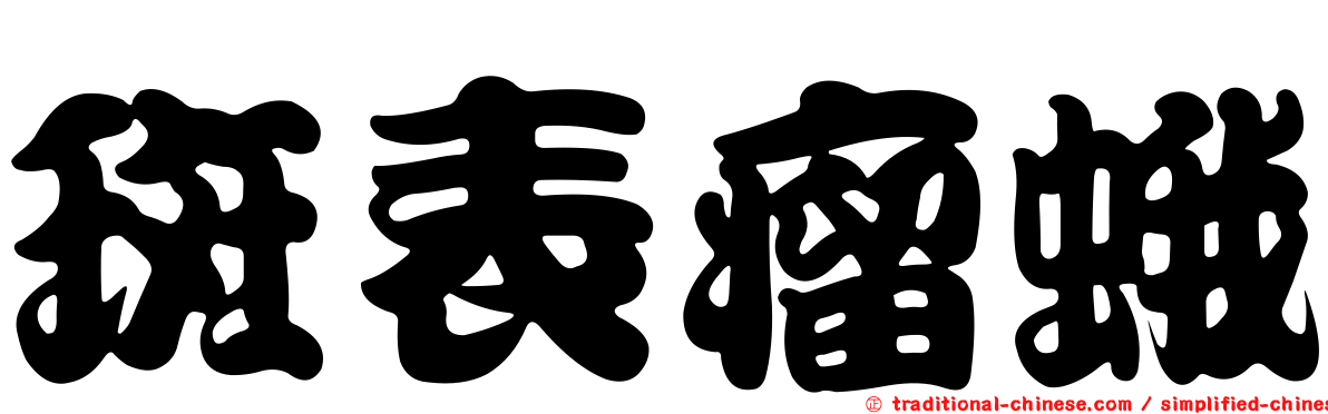 斑表瘤蛾