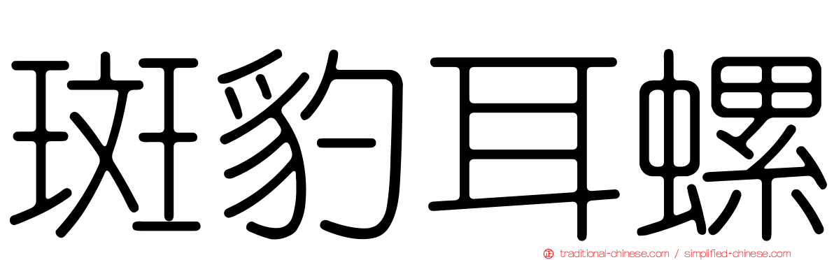 斑豹耳螺