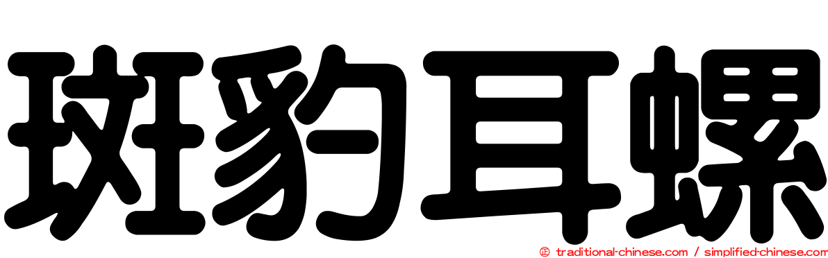 斑豹耳螺