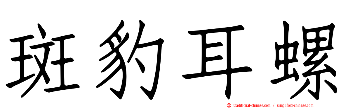 斑豹耳螺