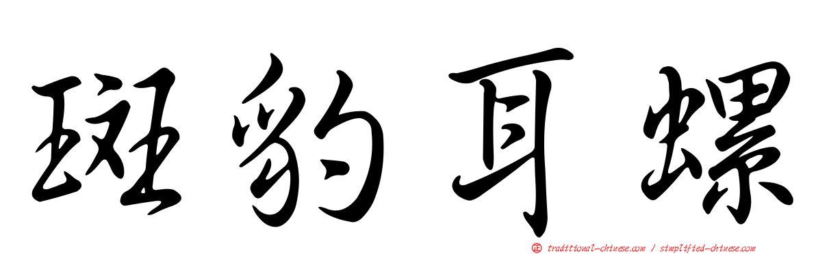 斑豹耳螺