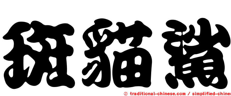 斑貓鯊