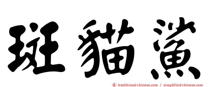 斑貓鯊