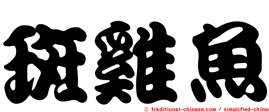 斑雞魚