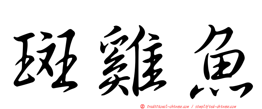 斑雞魚