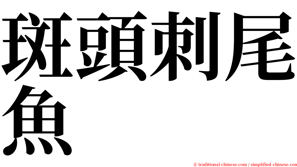 斑頭刺尾魚 serif font
