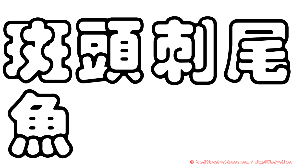 斑頭刺尾魚