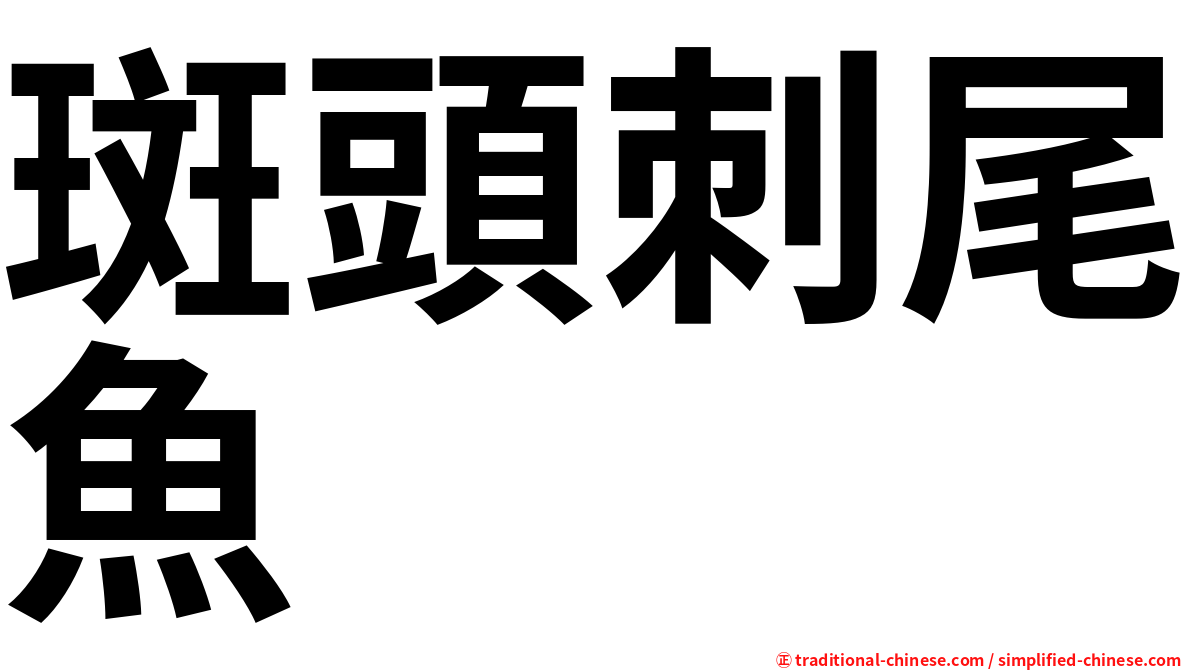 斑頭刺尾魚