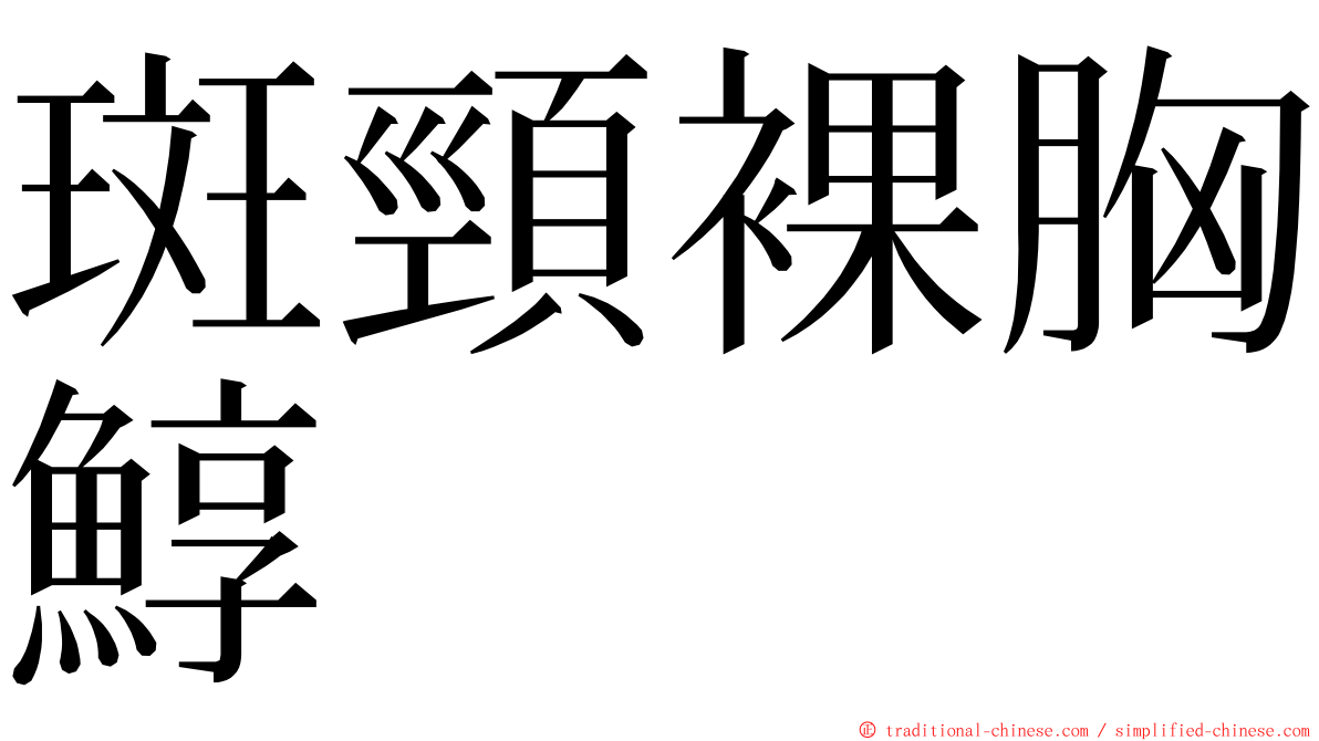 斑頸裸胸鯙 ming font