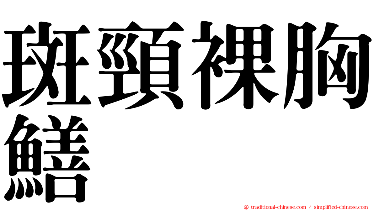 斑頸裸胸鱔