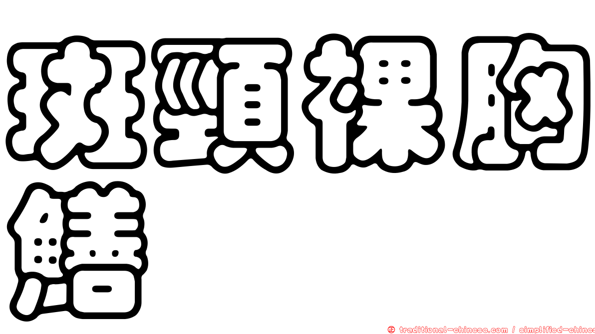 斑頸裸胸鱔