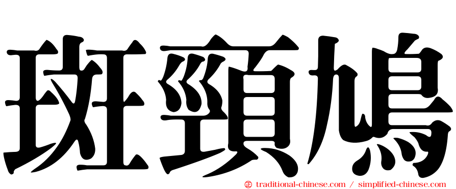 斑頸鳩