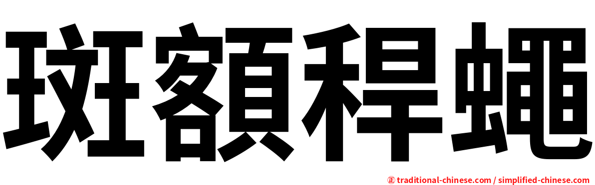 斑額稈蠅