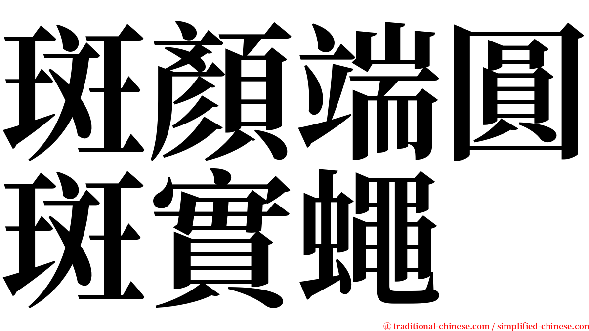斑顏端圓斑實蠅 serif font