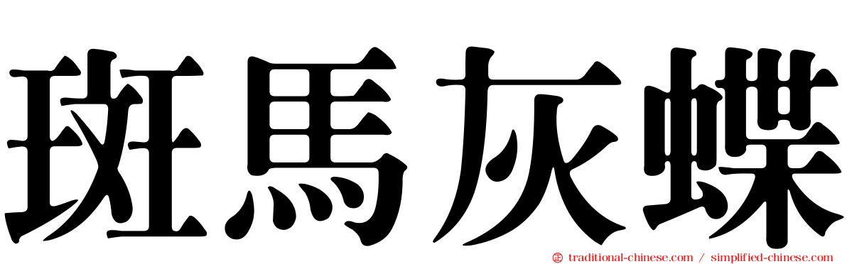 斑馬灰蝶