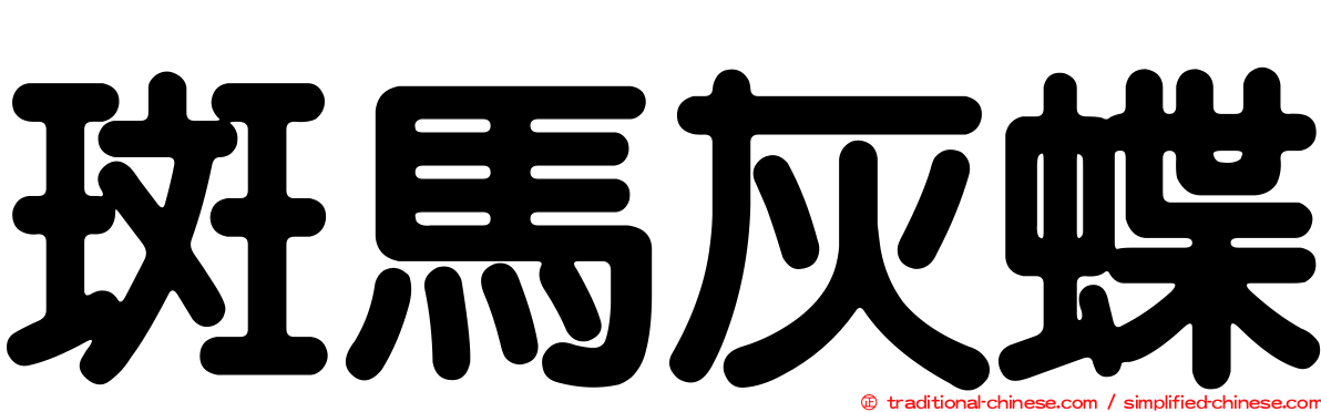 斑馬灰蝶