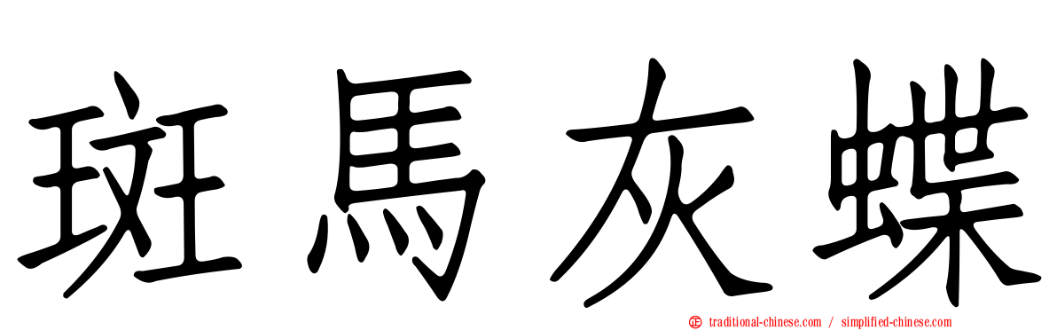 斑馬灰蝶