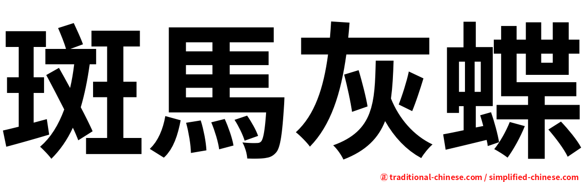 斑馬灰蝶