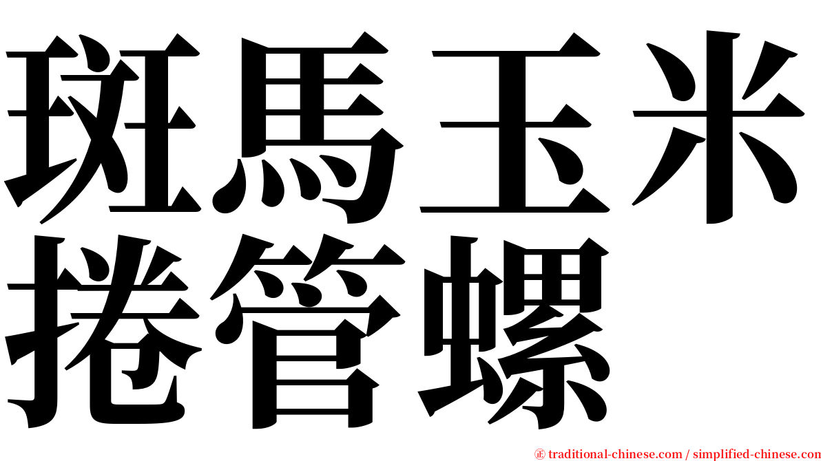 斑馬玉米捲管螺 serif font