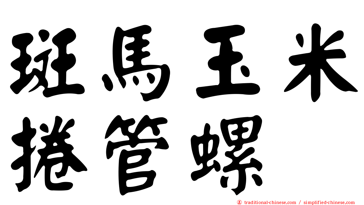 斑馬玉米捲管螺