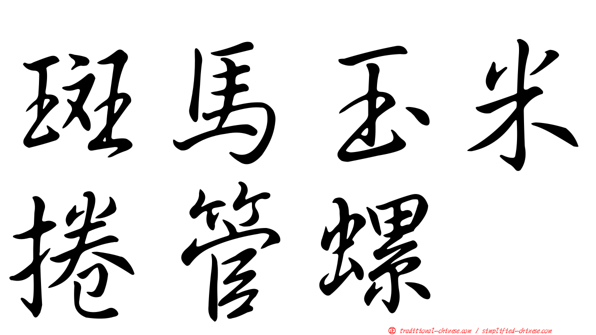 斑馬玉米捲管螺