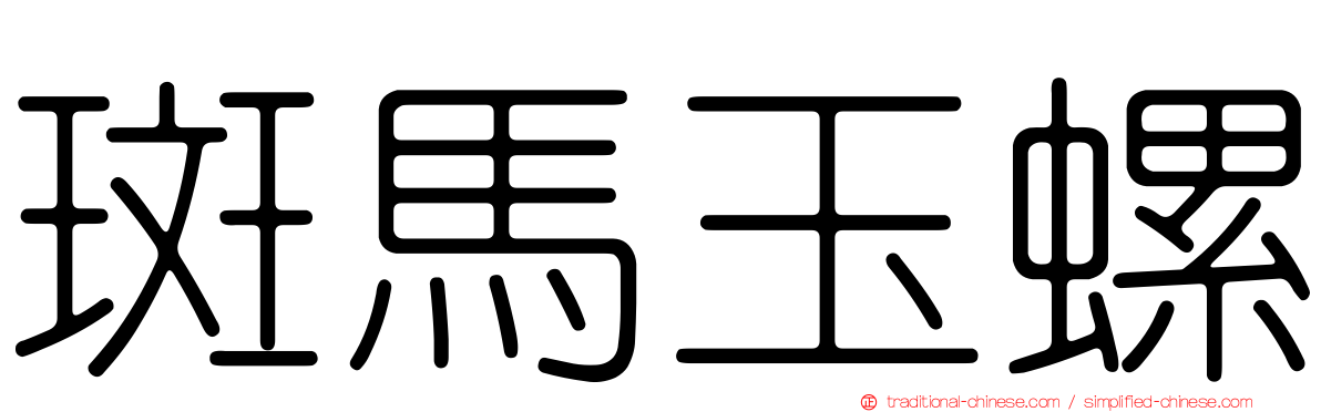 斑馬玉螺