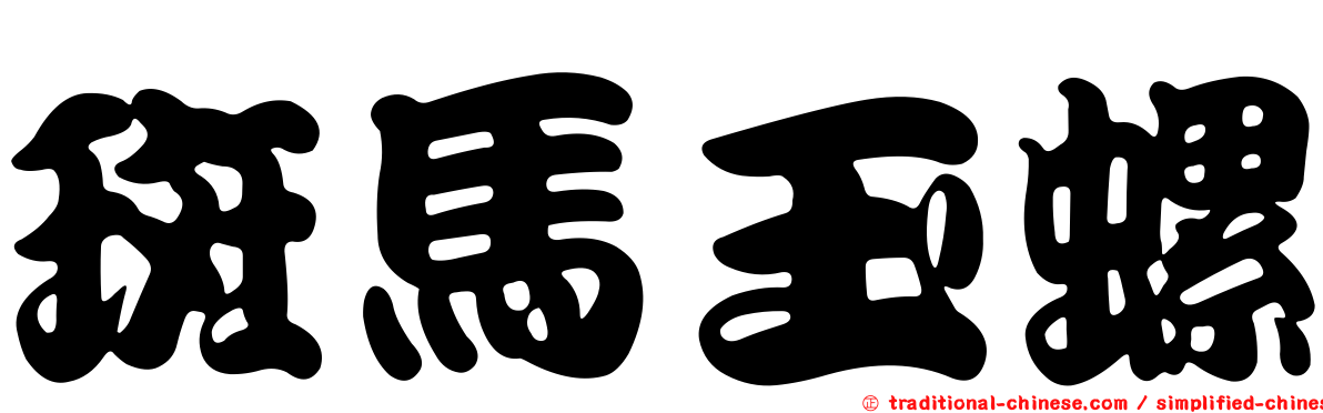 斑馬玉螺