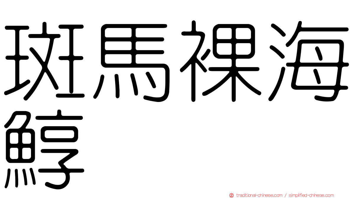 斑馬裸海鯙