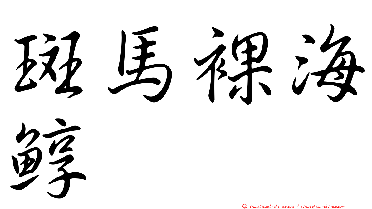 斑馬裸海鯙