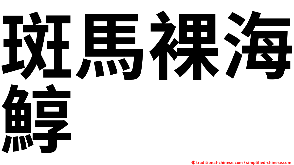 斑馬裸海鯙
