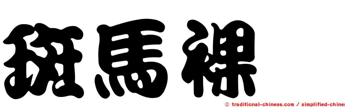 斑馬裸鯙