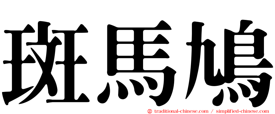 斑馬鳩