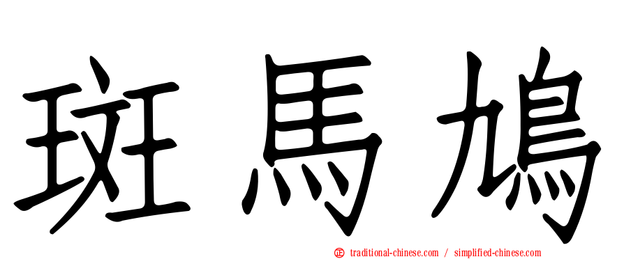 斑馬鳩