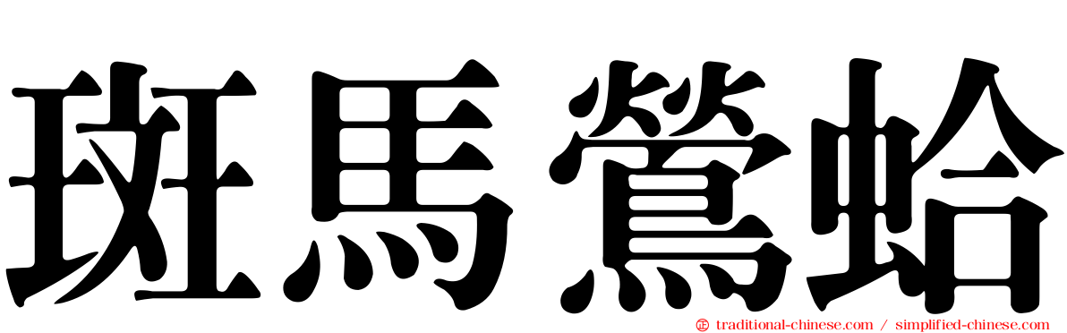 斑馬鶯蛤