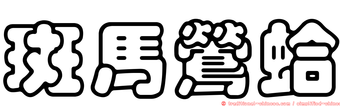 斑馬鶯蛤