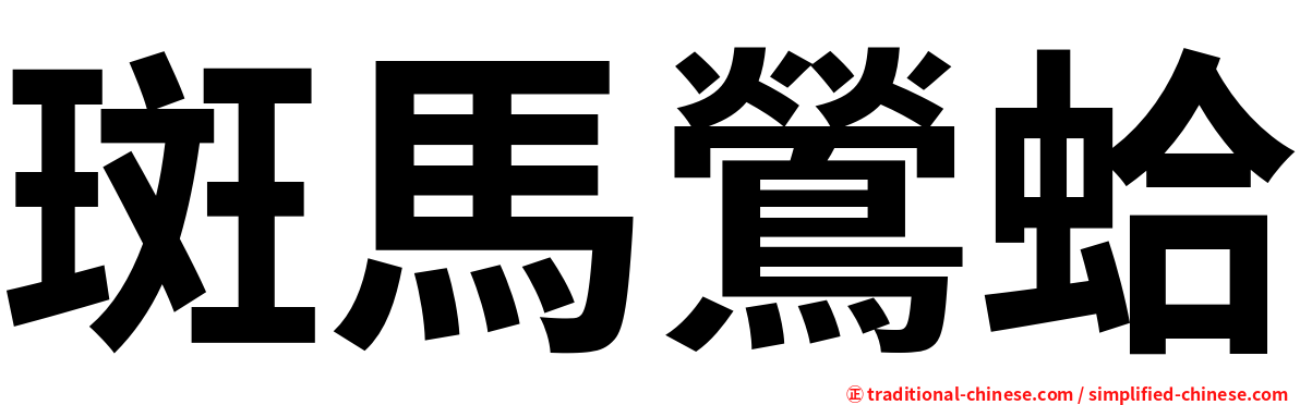斑馬鶯蛤