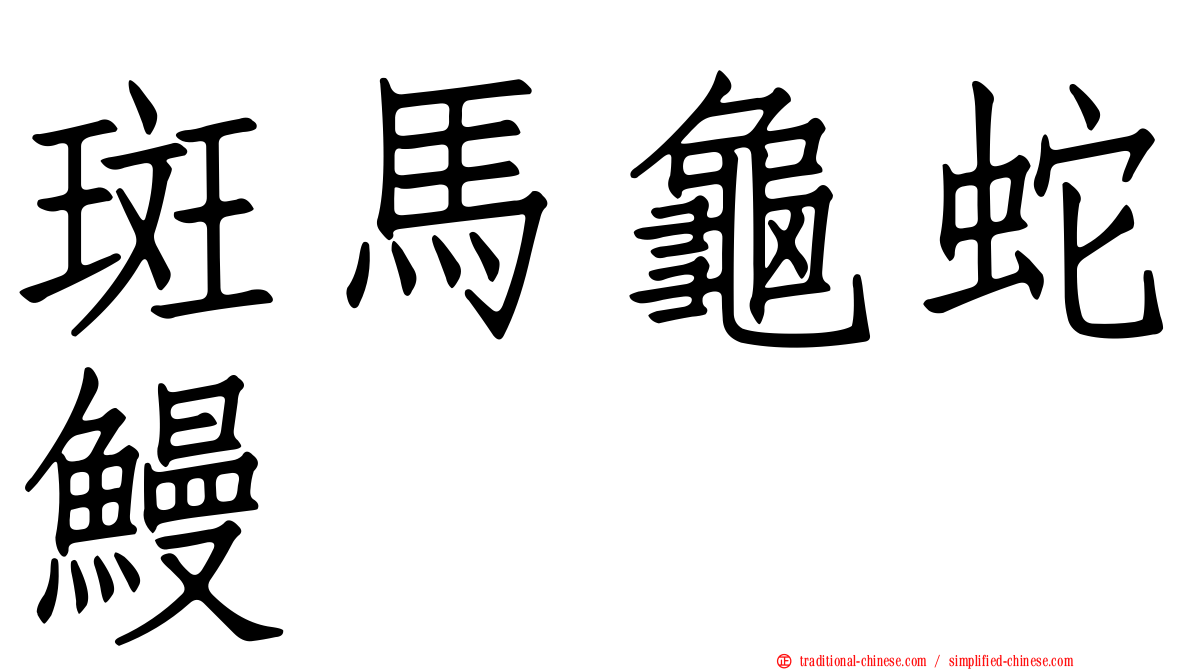 斑馬龜蛇鰻
