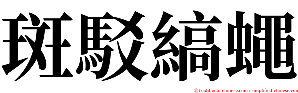 斑駁縞蠅 serif font